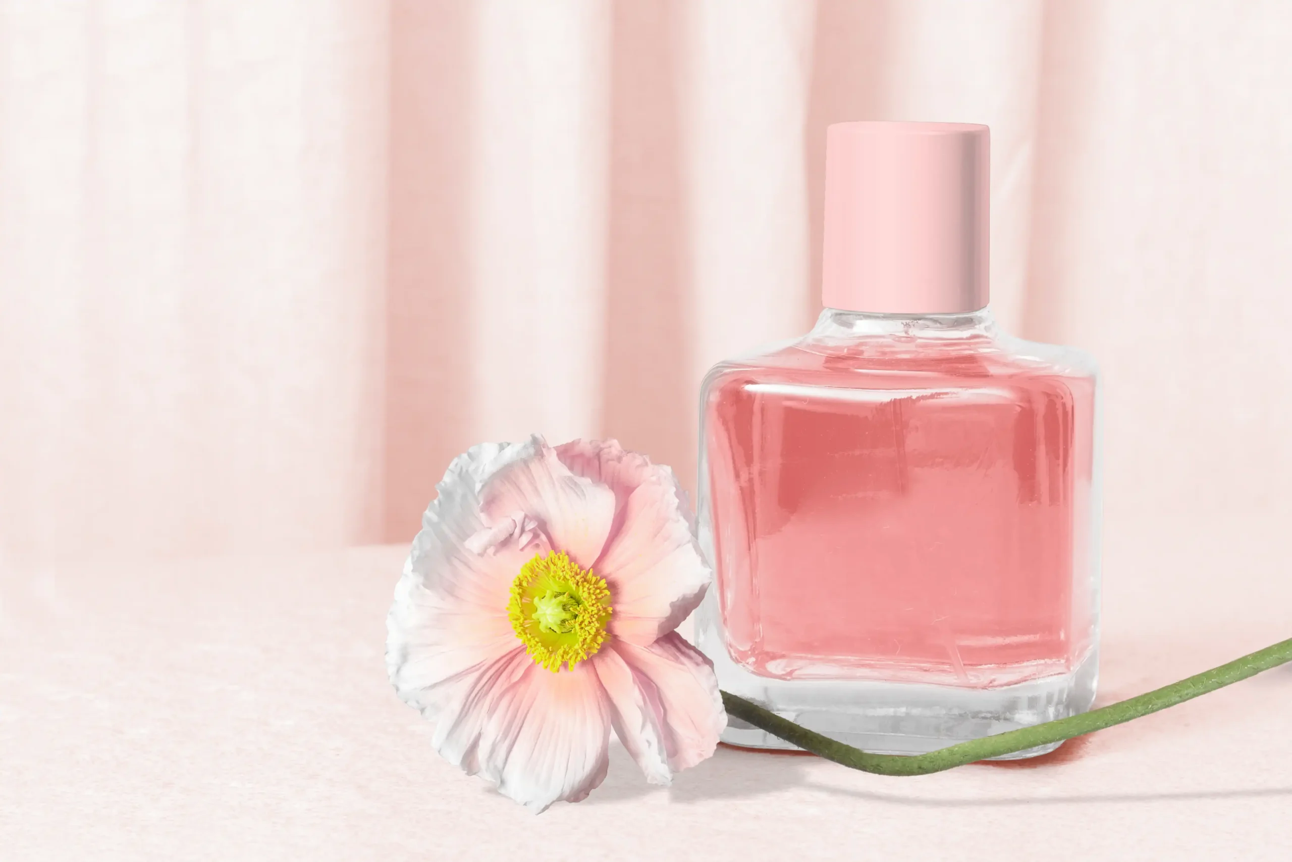 Rekomendasi Wangi Parfum Wanita Ambassador yang Manis untuk Wanita Romantis
