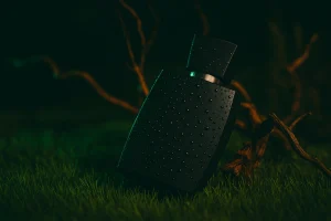 Parfum yang Meninggalkan Jejak Romantis dan Elegan